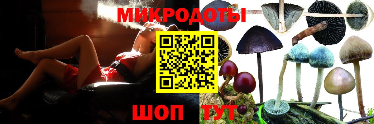 Галлюциногенные грибы Psilocybe  Галлюциногенные грибы Psilocybe  купить закладку  Вход с VPN  Златоуст 